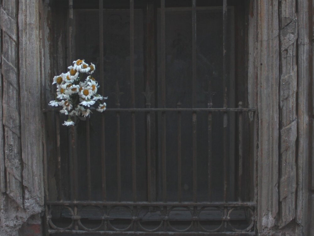 Photograph by Наталья Берестова