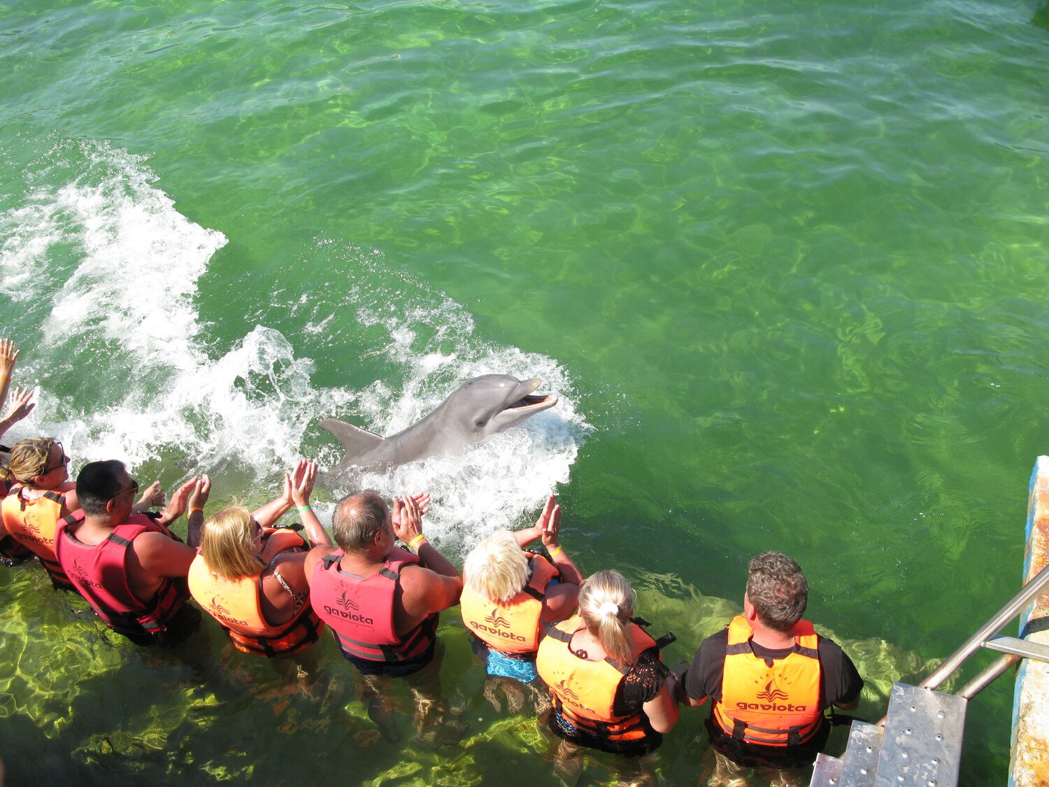 Photo #13905329