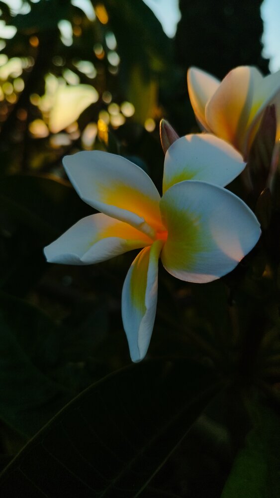 Photograph by ELLA BROD