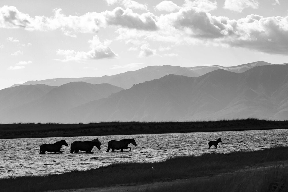 Photograph by Alexei Kriptozoy