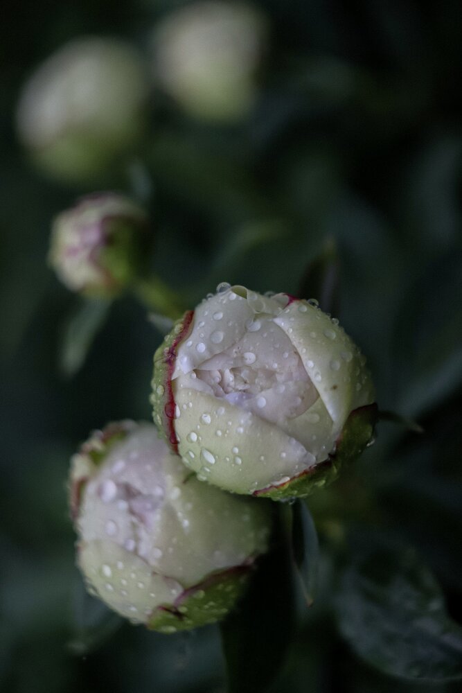 Photograph by Елена Фаворская