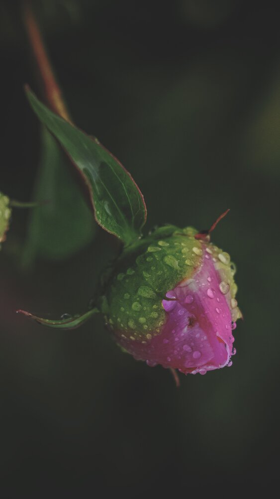 Photograph by Елена Фаворская