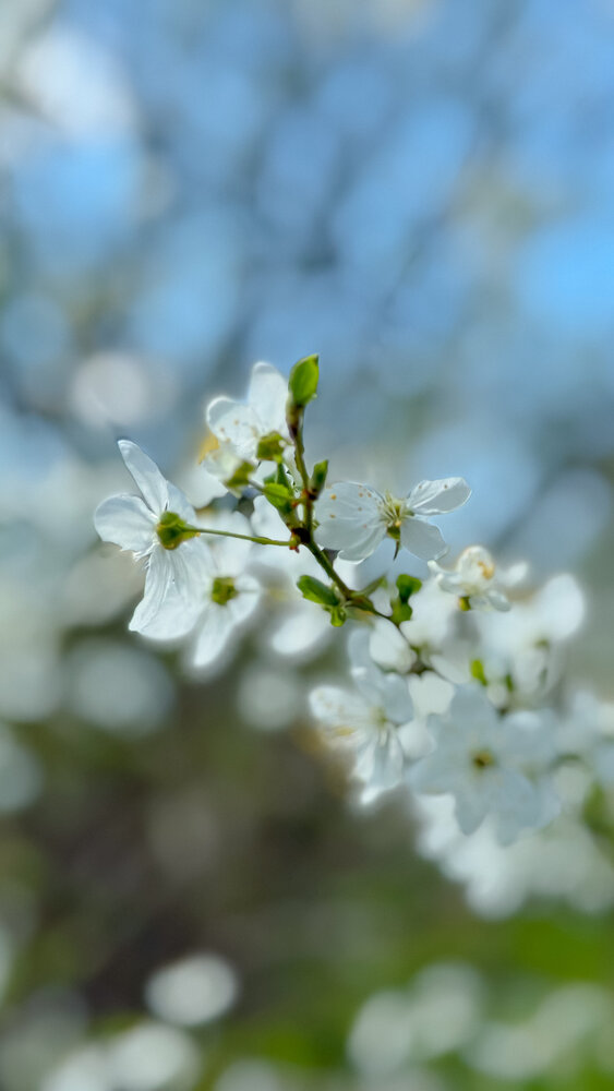 Photograph by Регина Усова