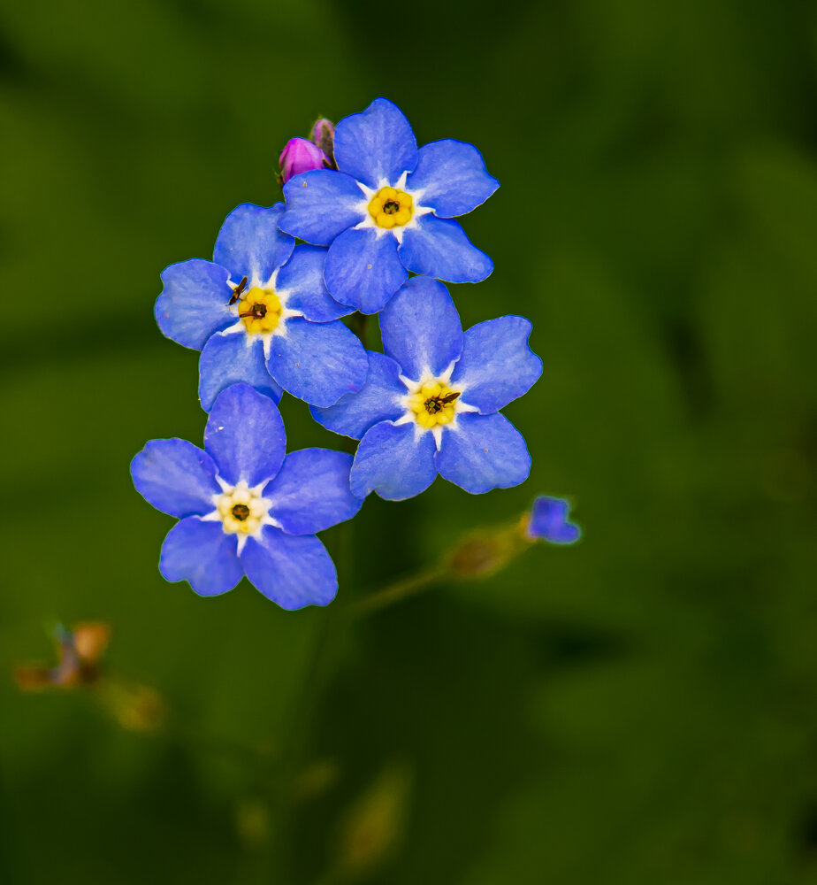 Photograph by Yelnikova Olga