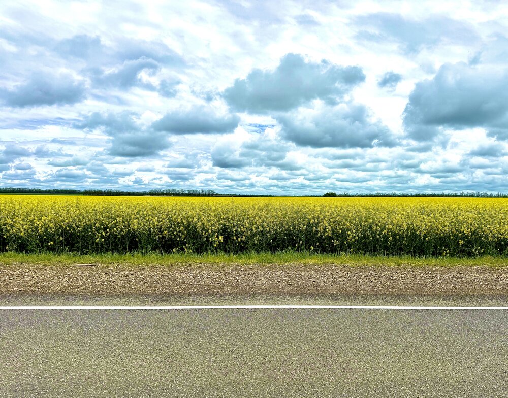 Photograph by Роман Демин