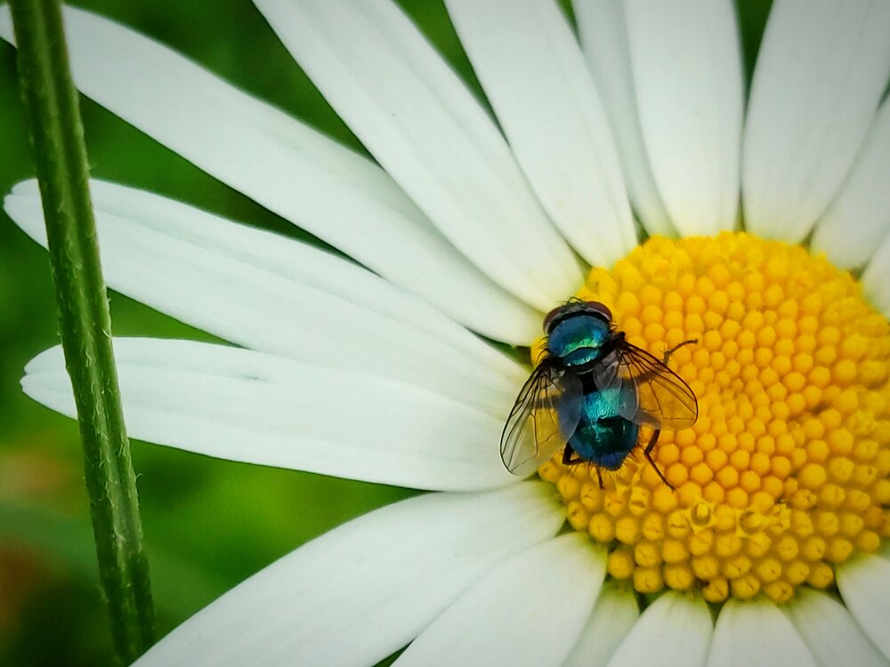 Photograph by Наталья Зверева