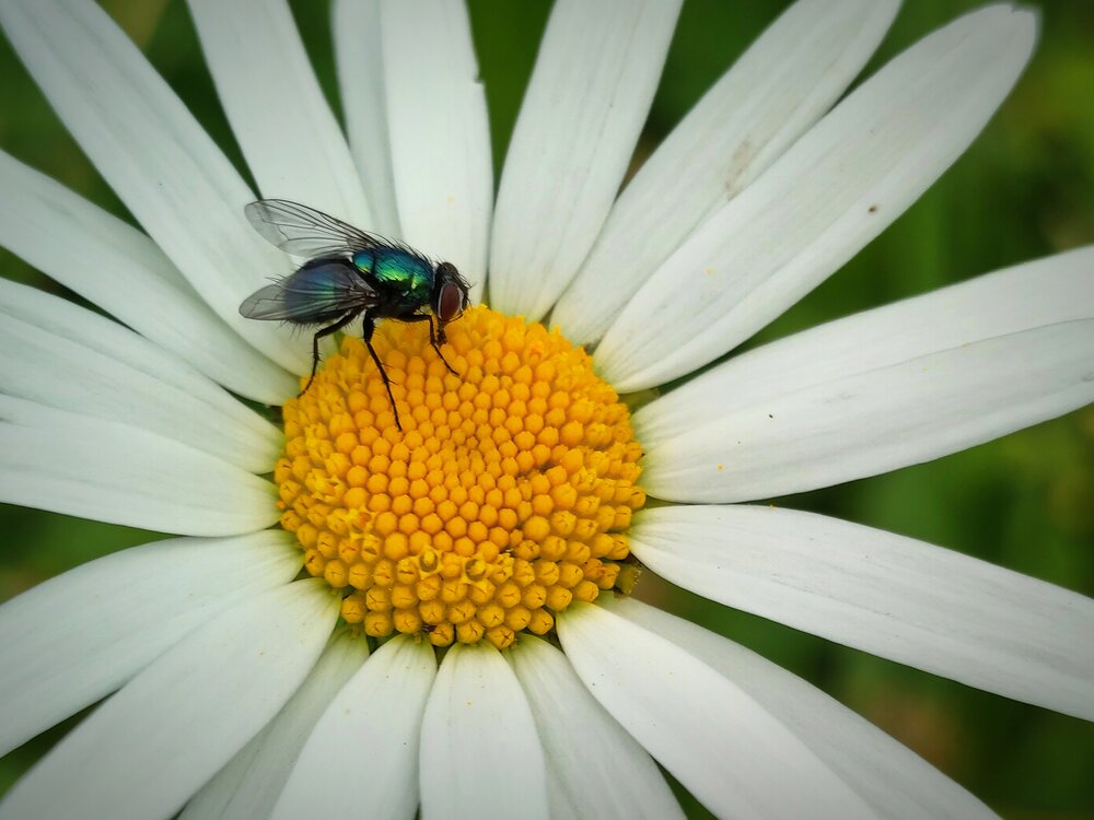 Photograph by Наталья Зверева