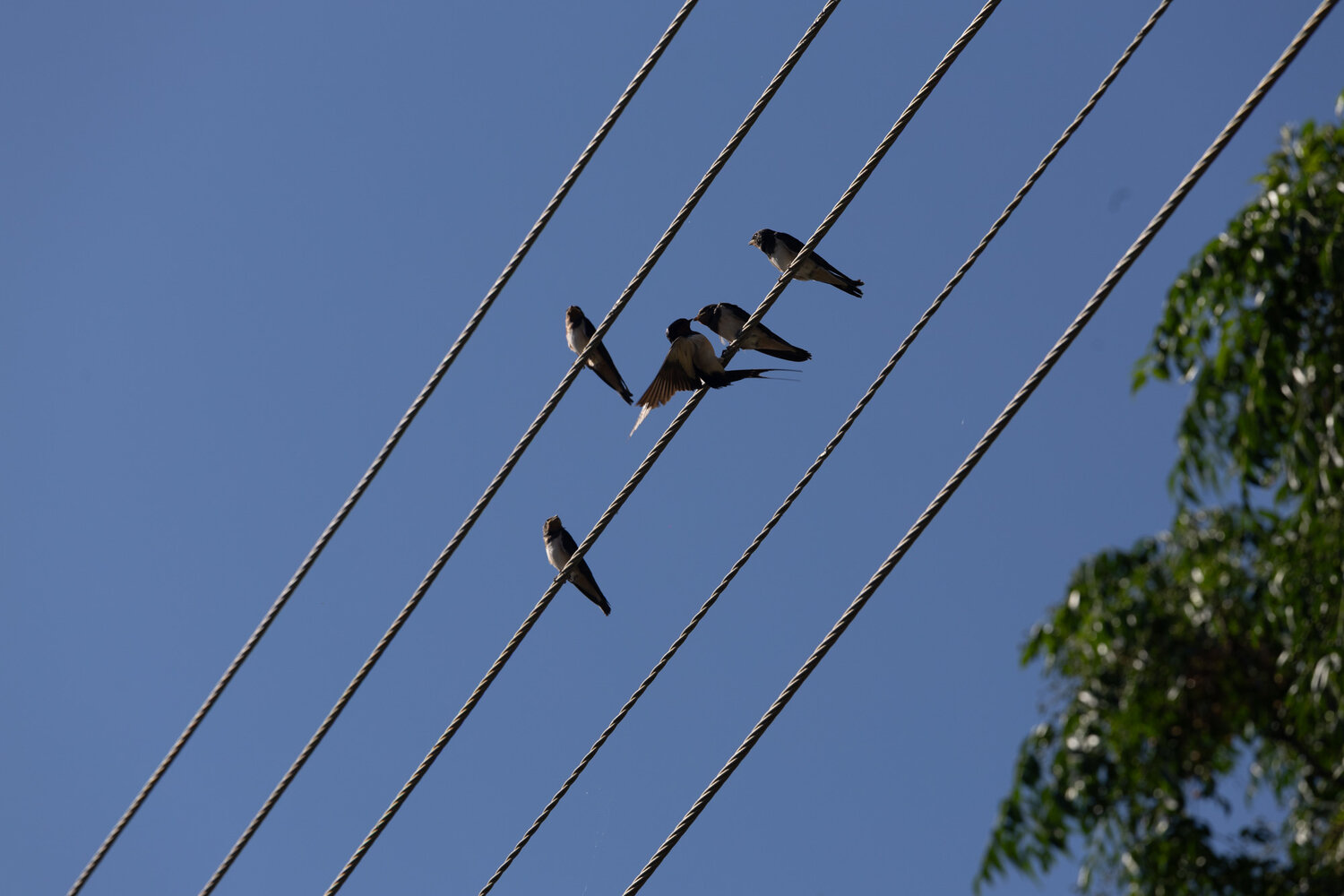 Photo #13905489
