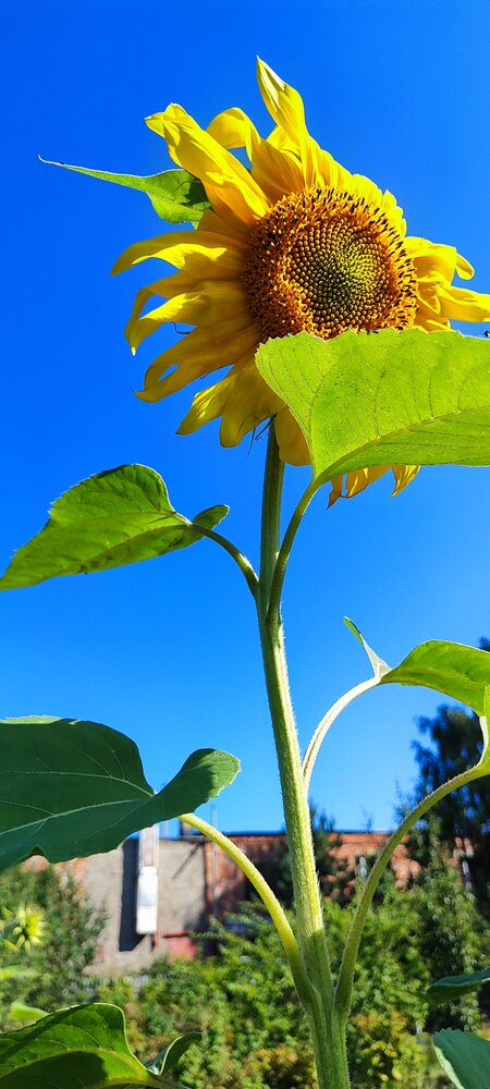 Photograph by Рита