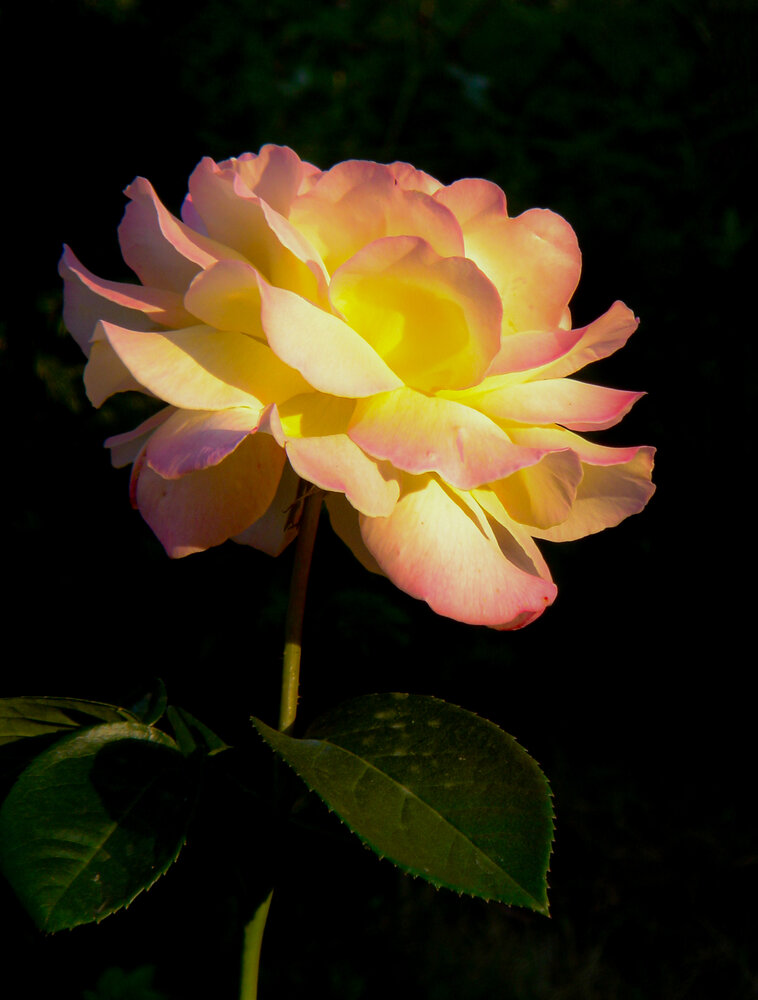 Photograph by Владимир Ельников