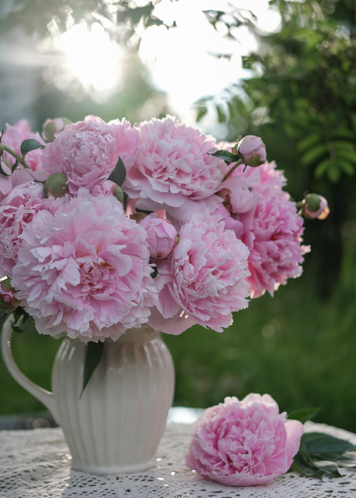 Photograph by Елена Никишина
