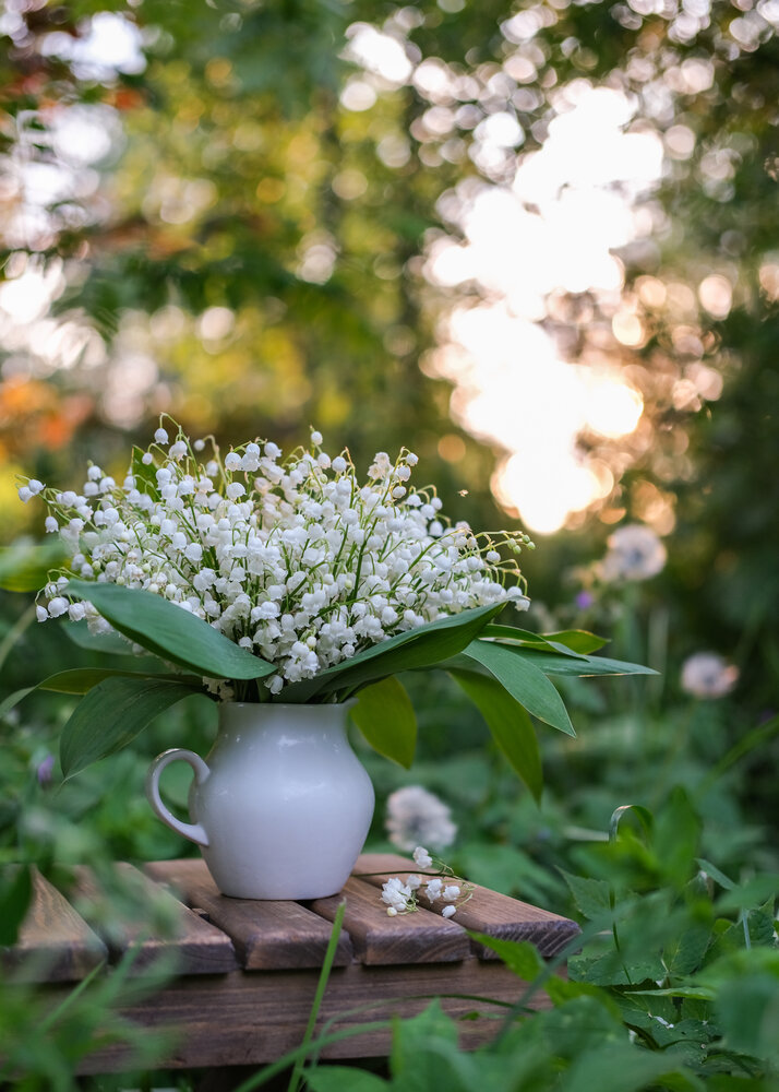 Photograph by Елена Никишина