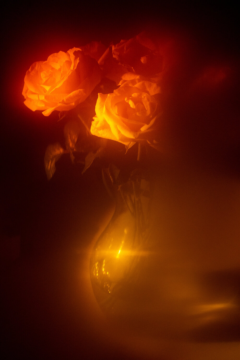 Photo #13905530