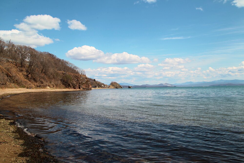 Photograph by 