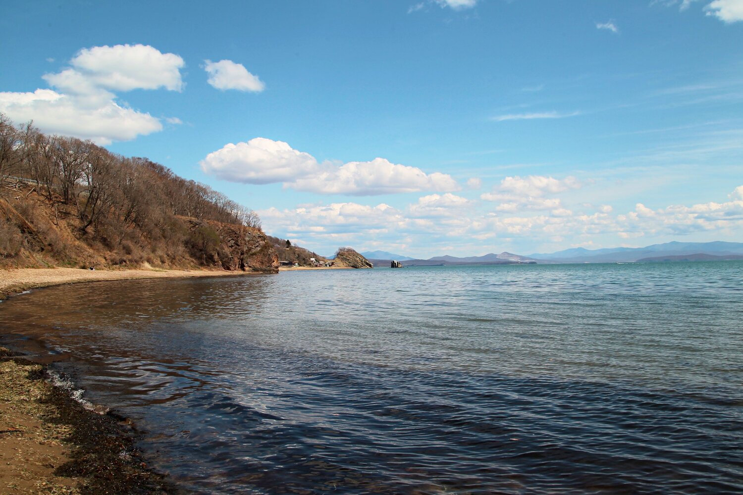 Photo #13905534