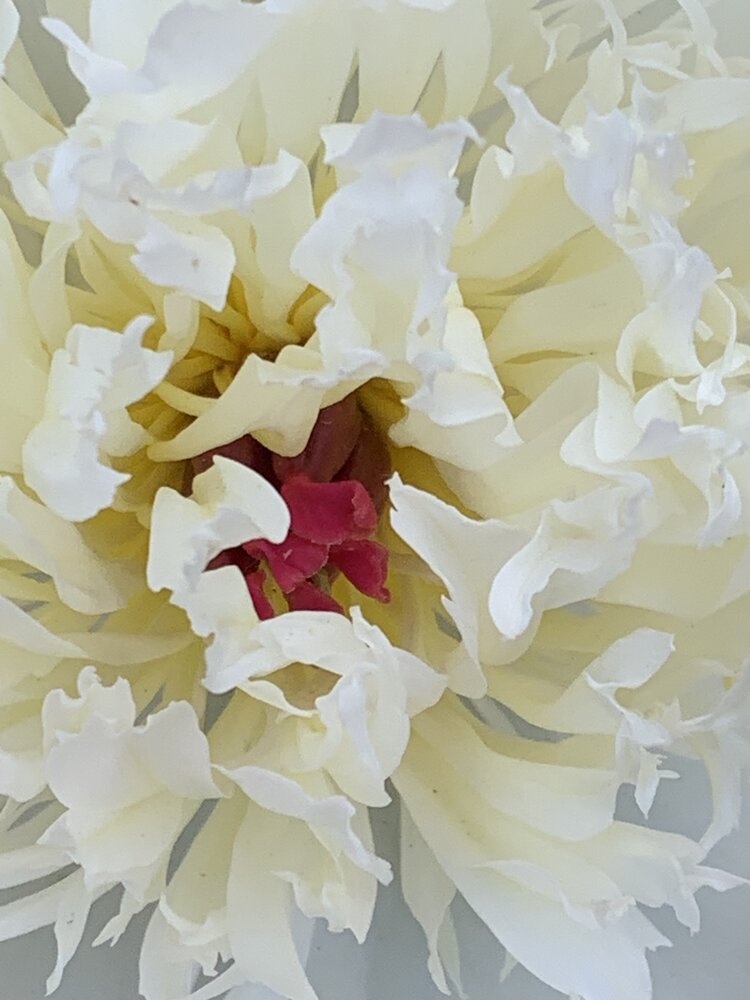 Photograph by Ксения