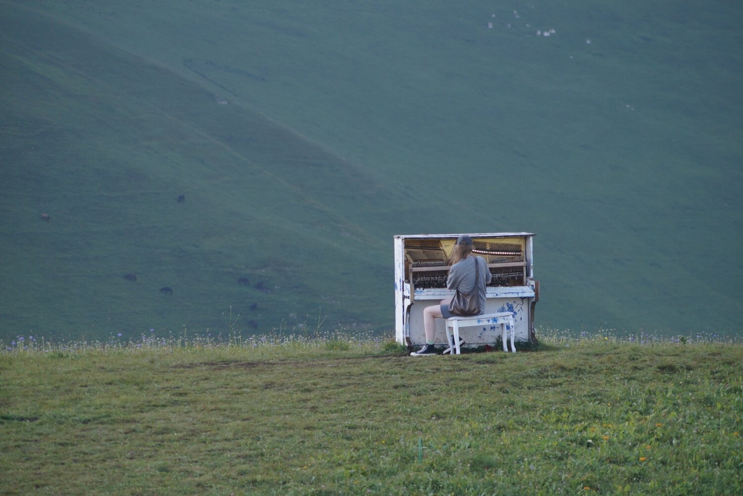 Photo #13905575
