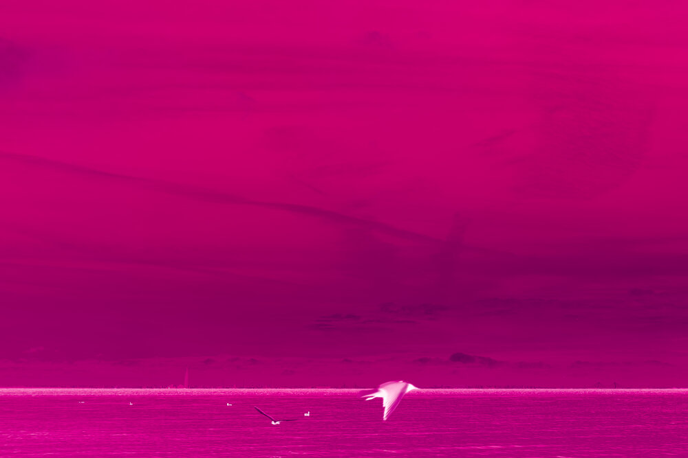 Photograph by София Птица