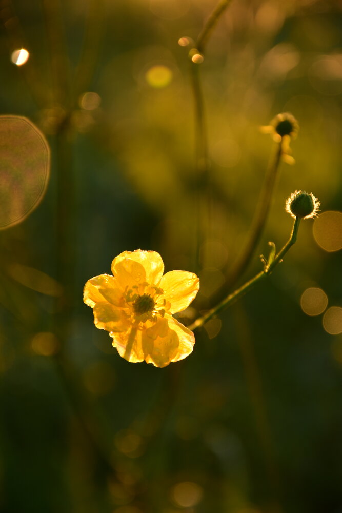 Photograph by Валерий Гудков