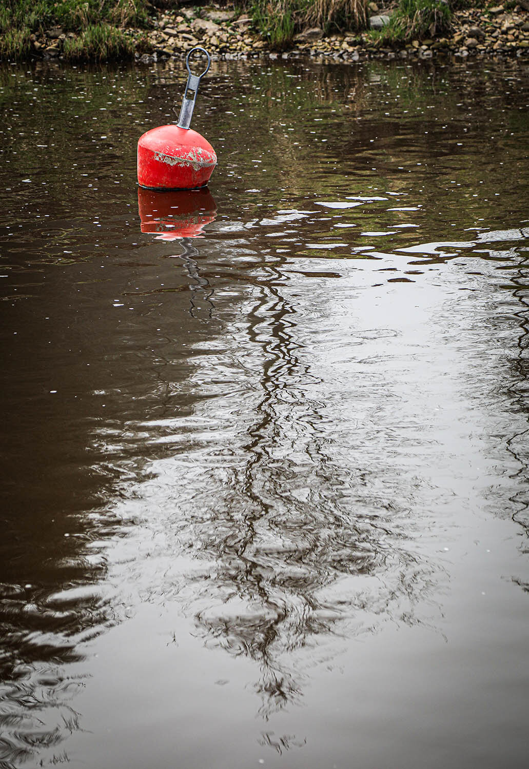 Photo #13905617