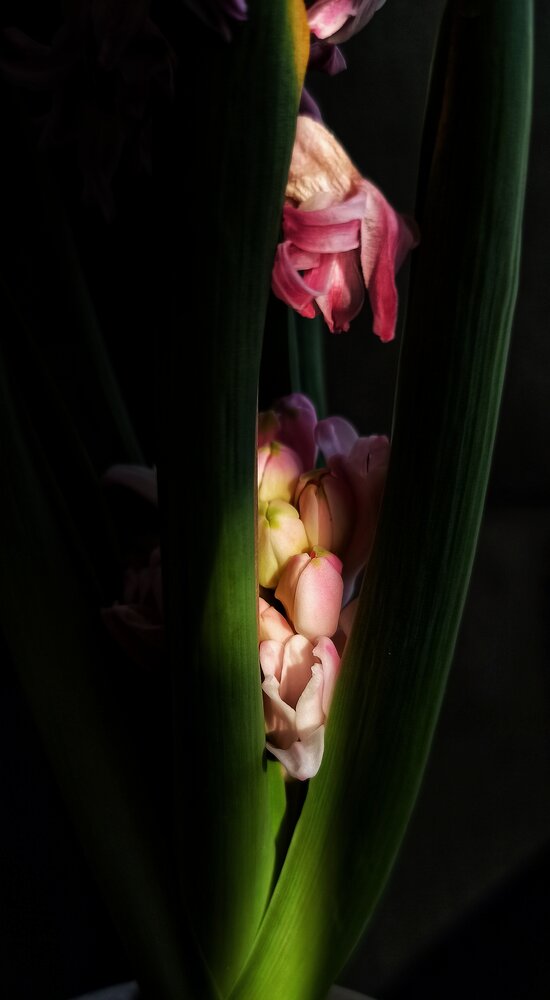 Photograph by Евгения Владимировна