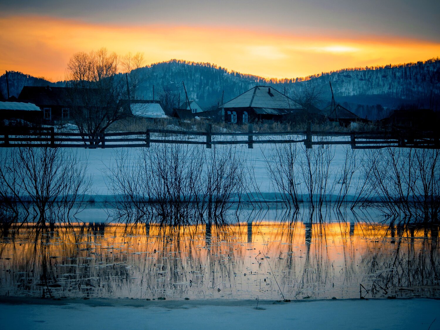 Photo #13905638