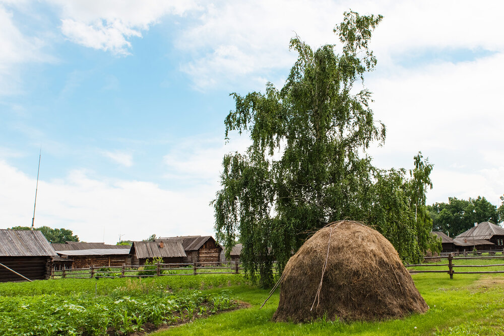 Photograph by Игорь Боголюбов