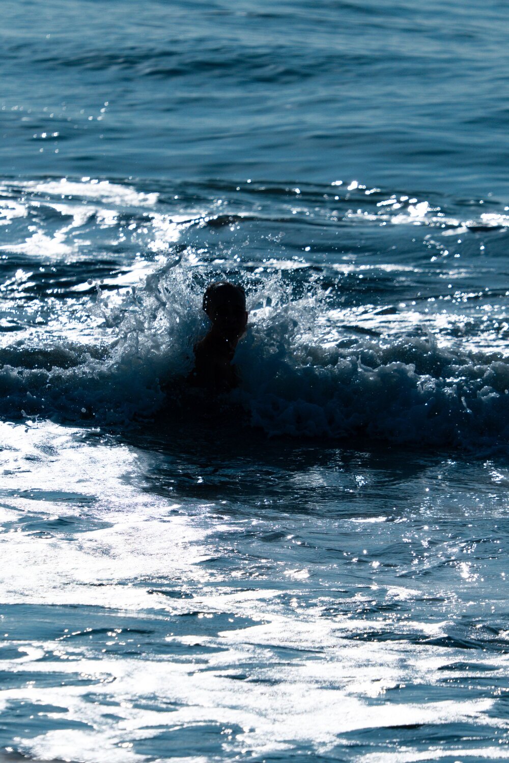Photo #13905689