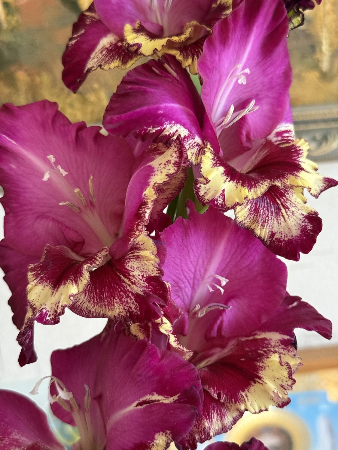 Photo #13905723