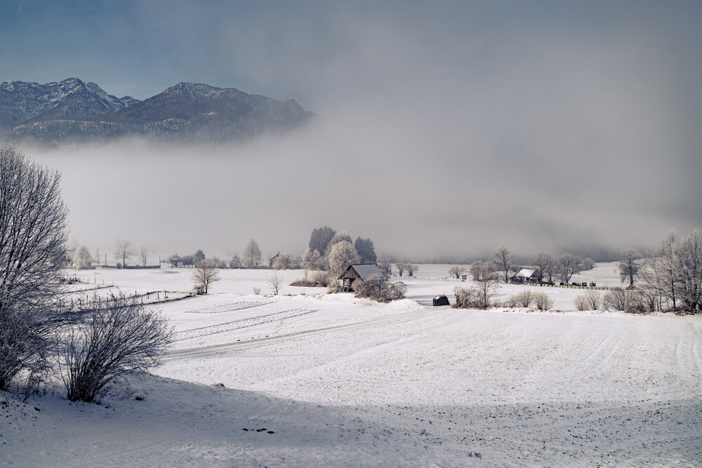 Photograph by Covaliova Zinaida