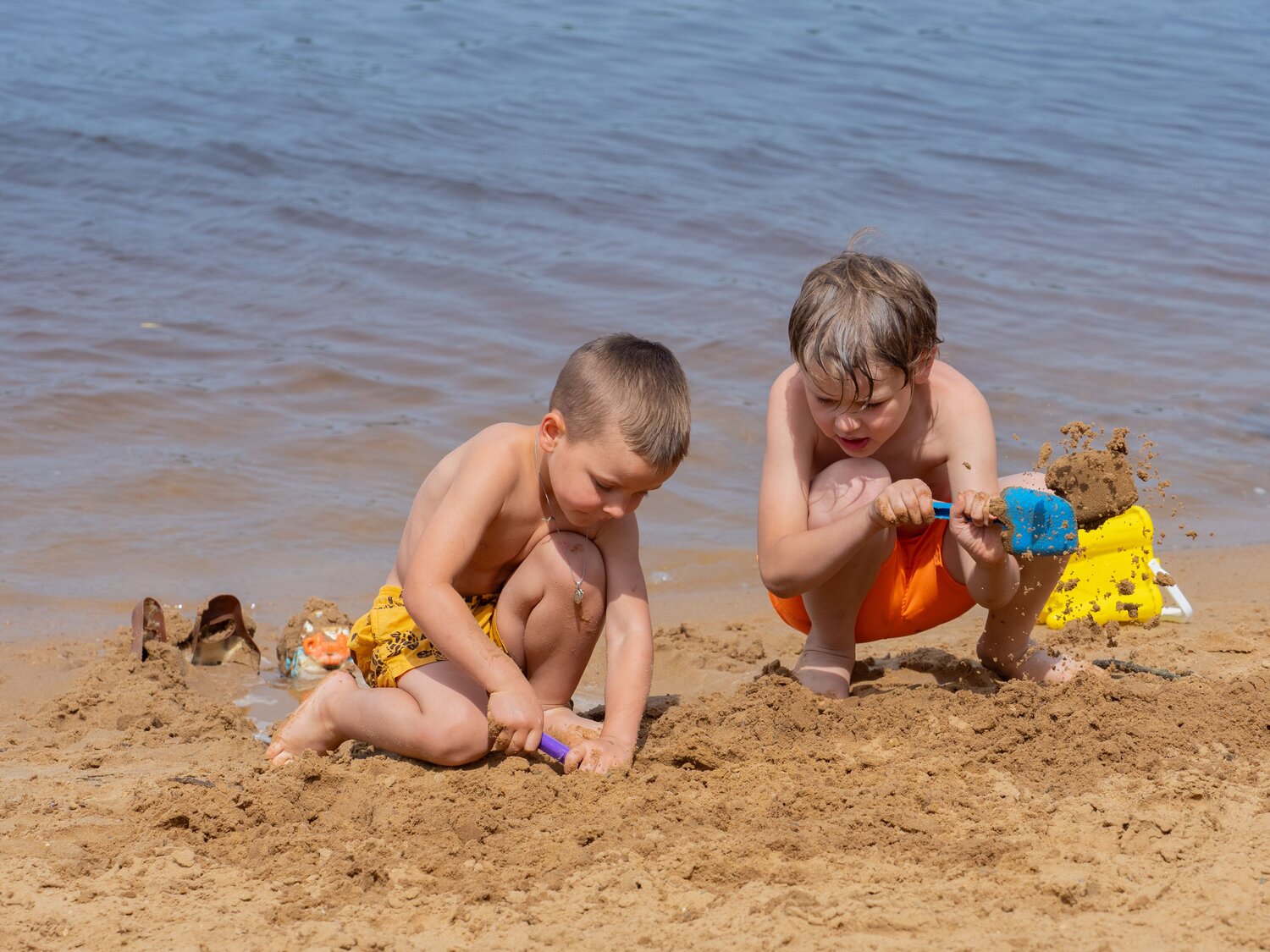 Photo #13905744