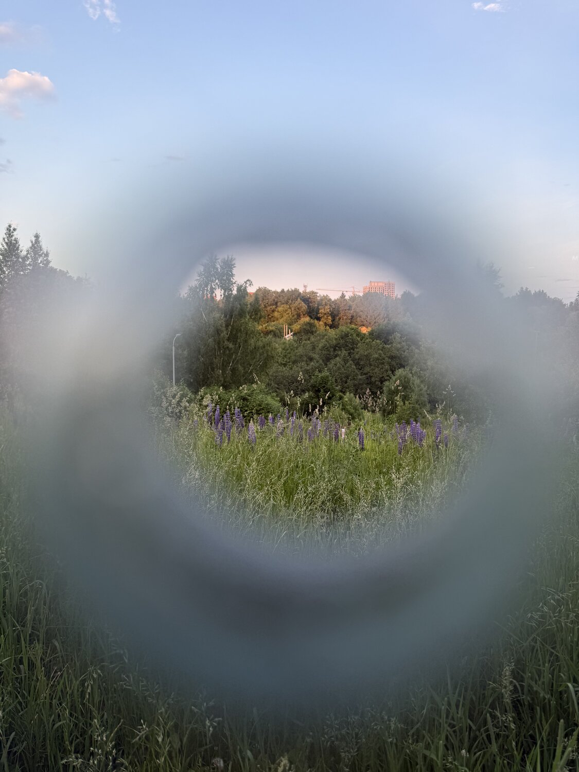 Photo #13905759