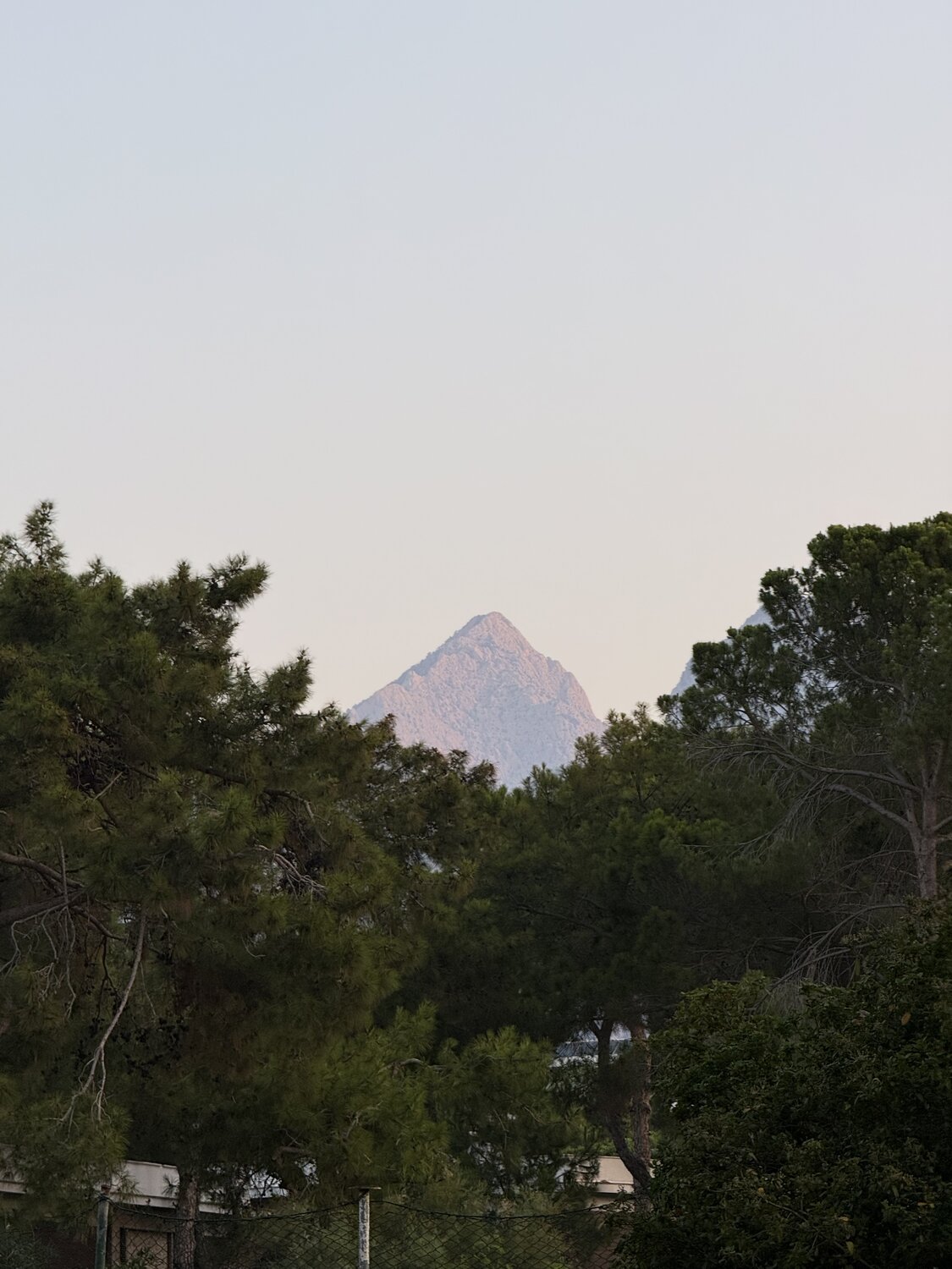 Photo #13905760