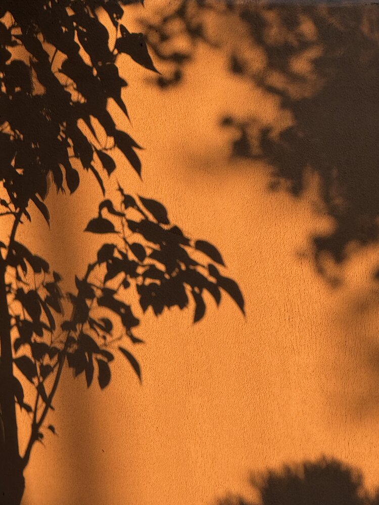 Photograph by Elvira