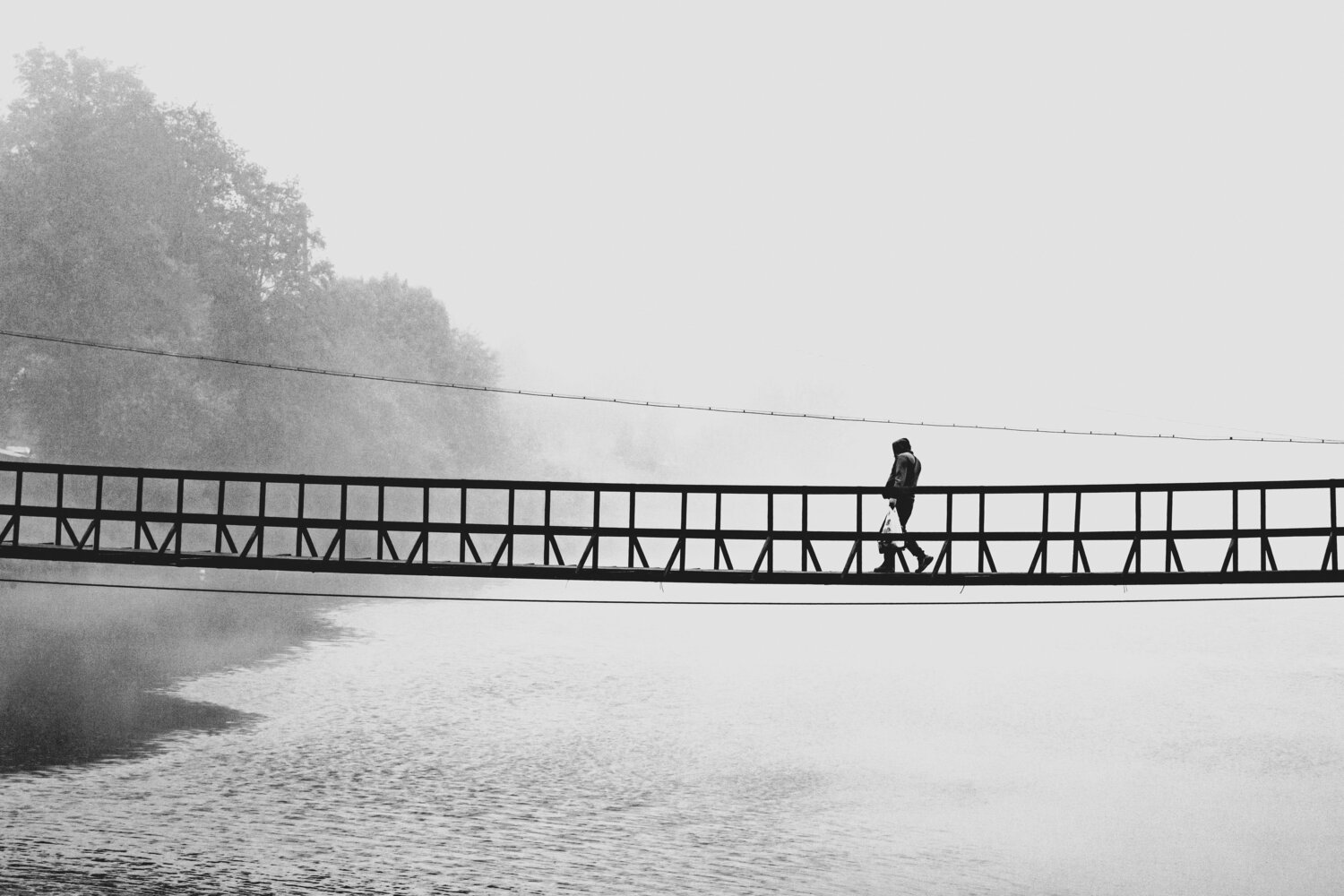 Photo #13905923