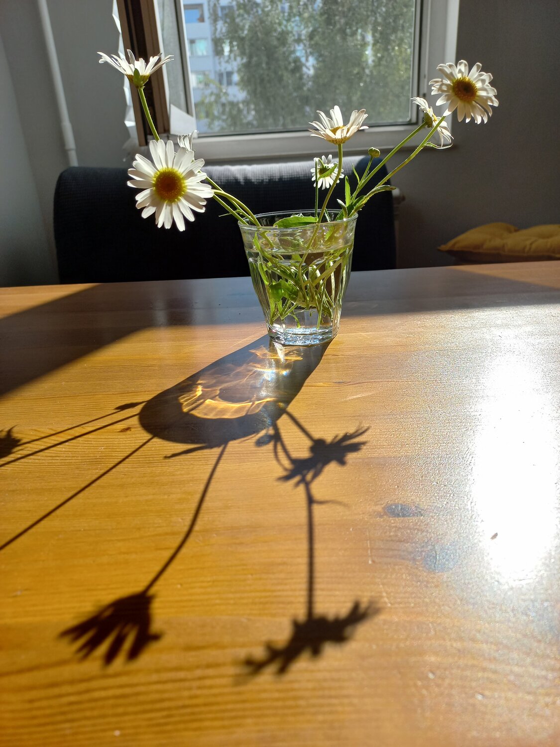 Photo #13905944