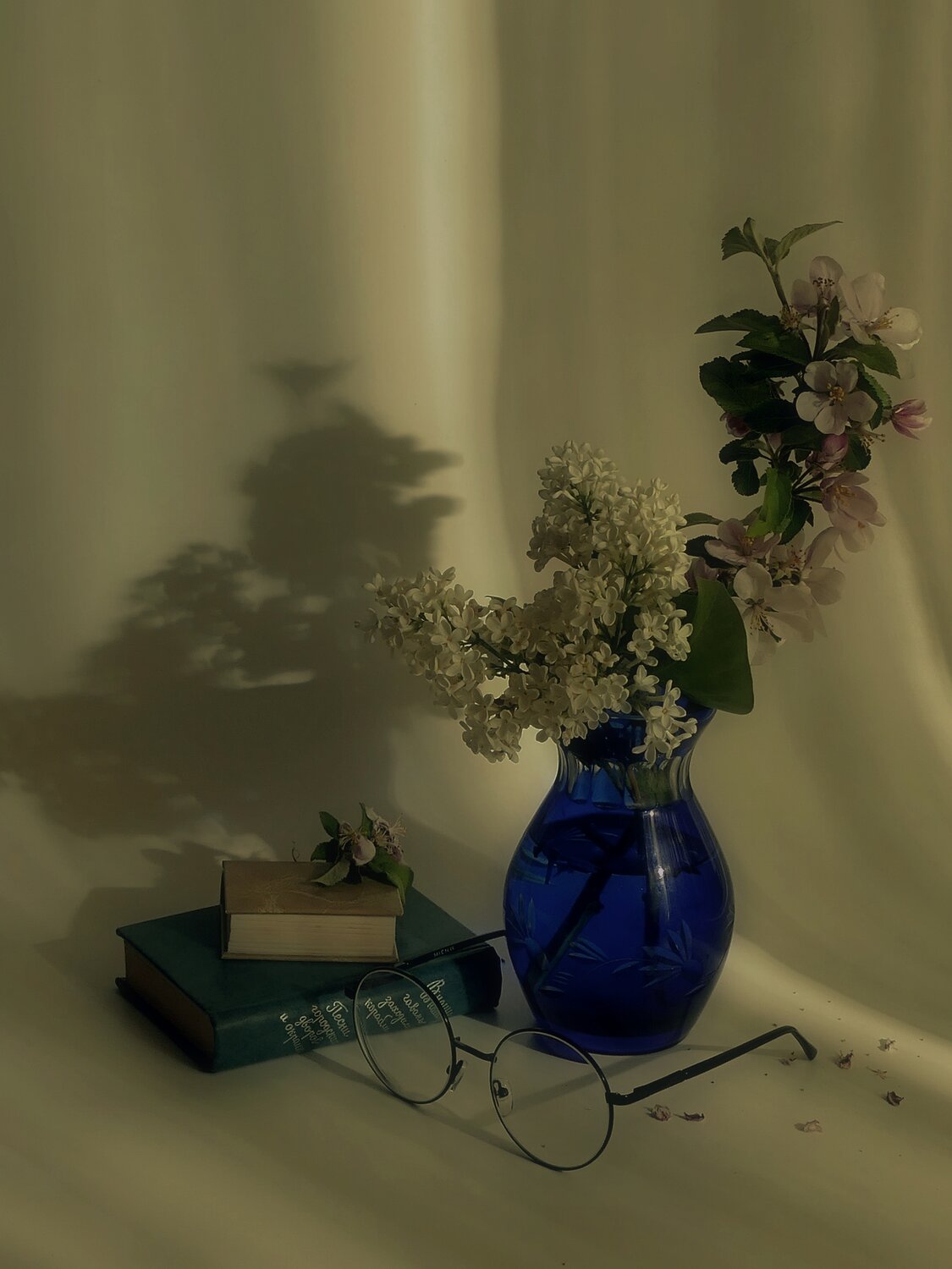 Photo #13905951