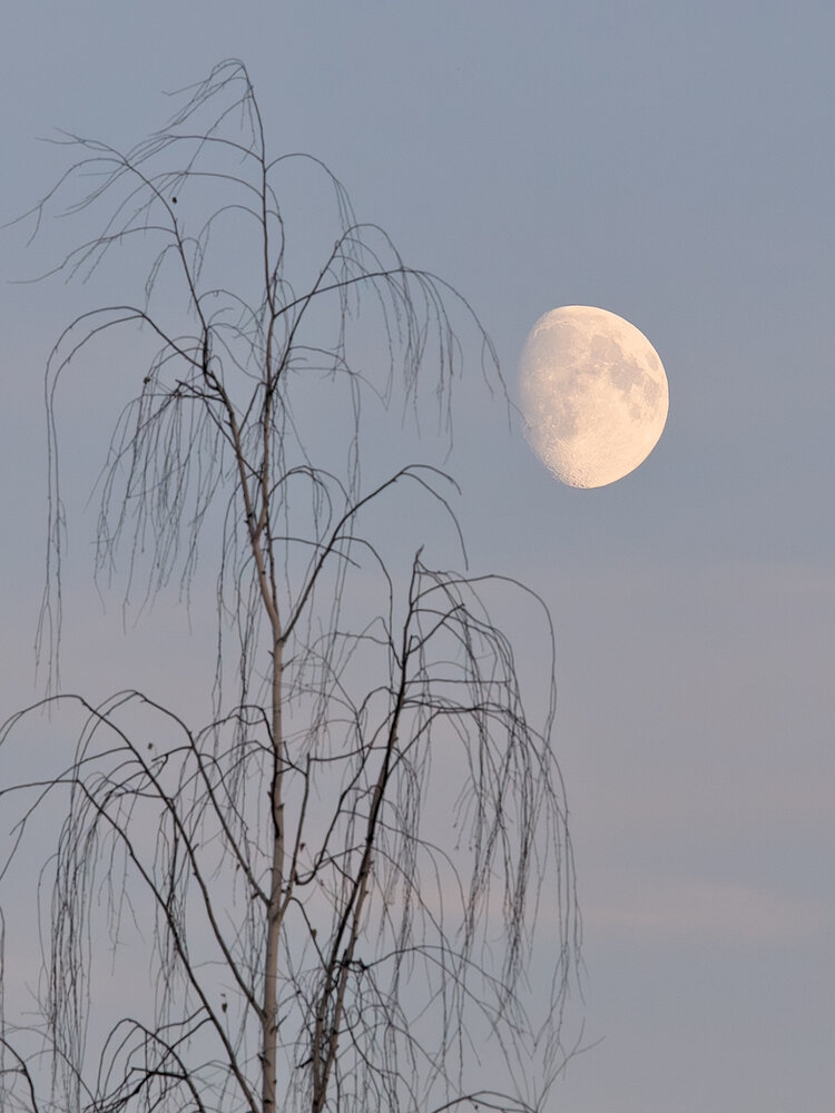 Photograph by Леонид Никитин