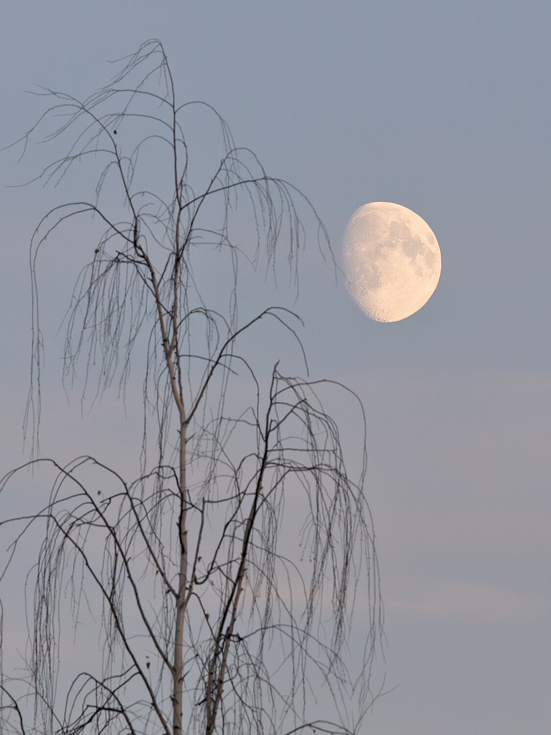Photo #13905998