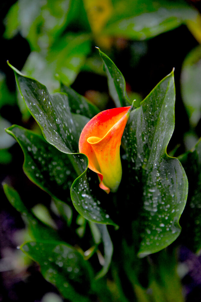 Photograph by mihail
