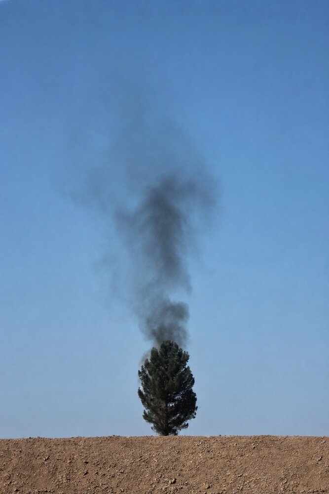 Photograph by Kamyab Saraei