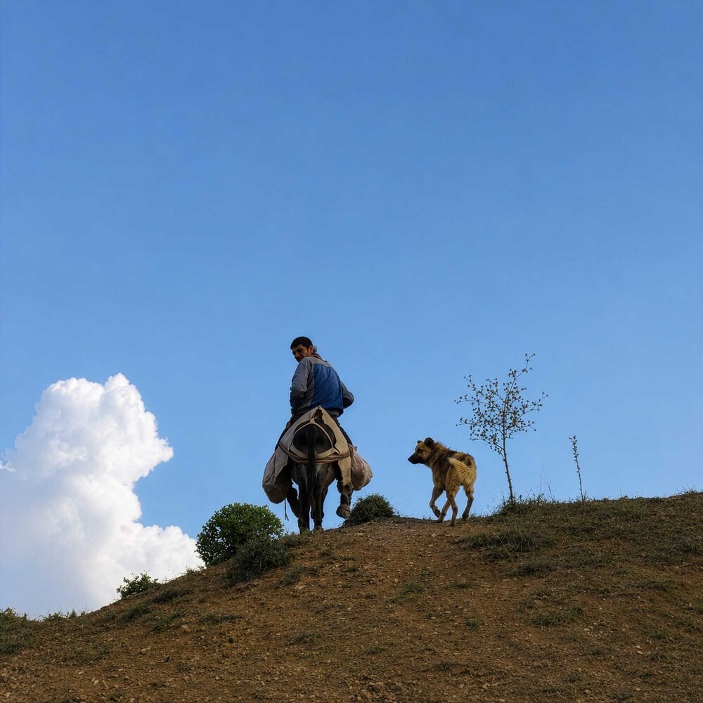 Companions on the Road