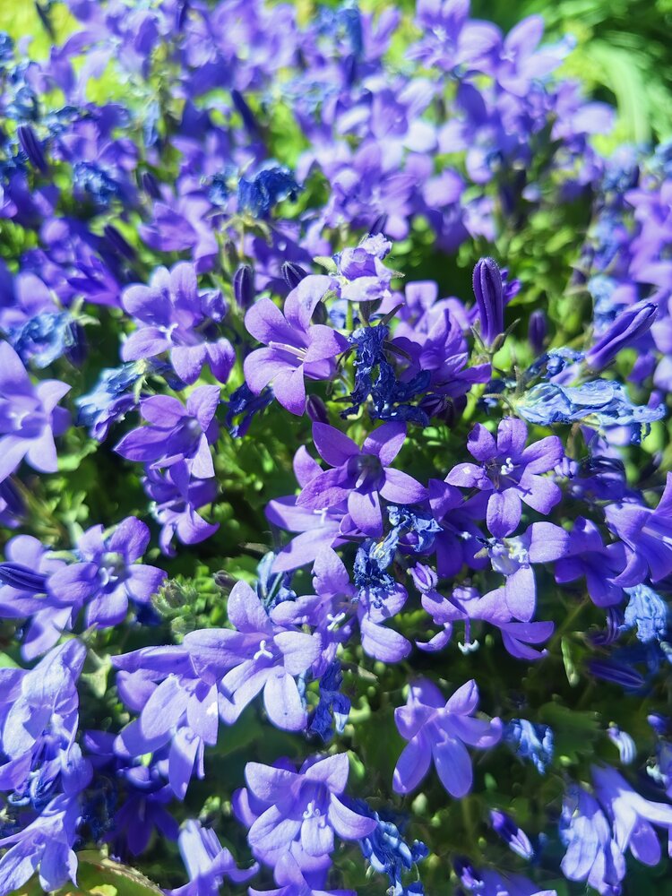 Photograph by Ольга Подопригора