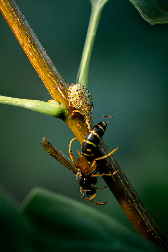 Photograph by Игорь Иванов