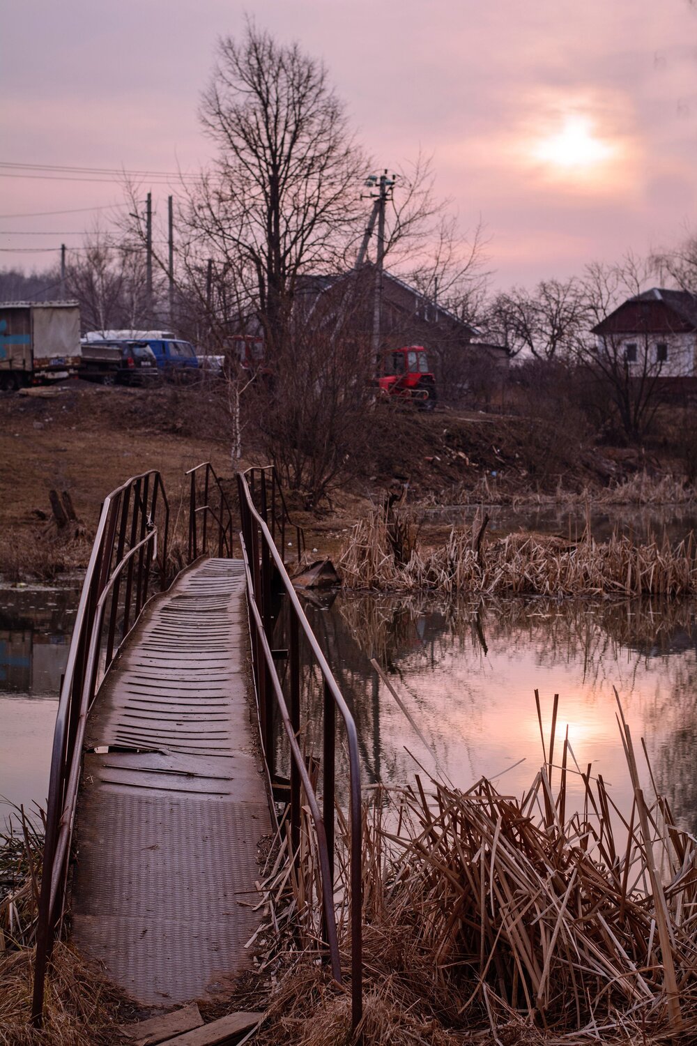 Photo #13906259