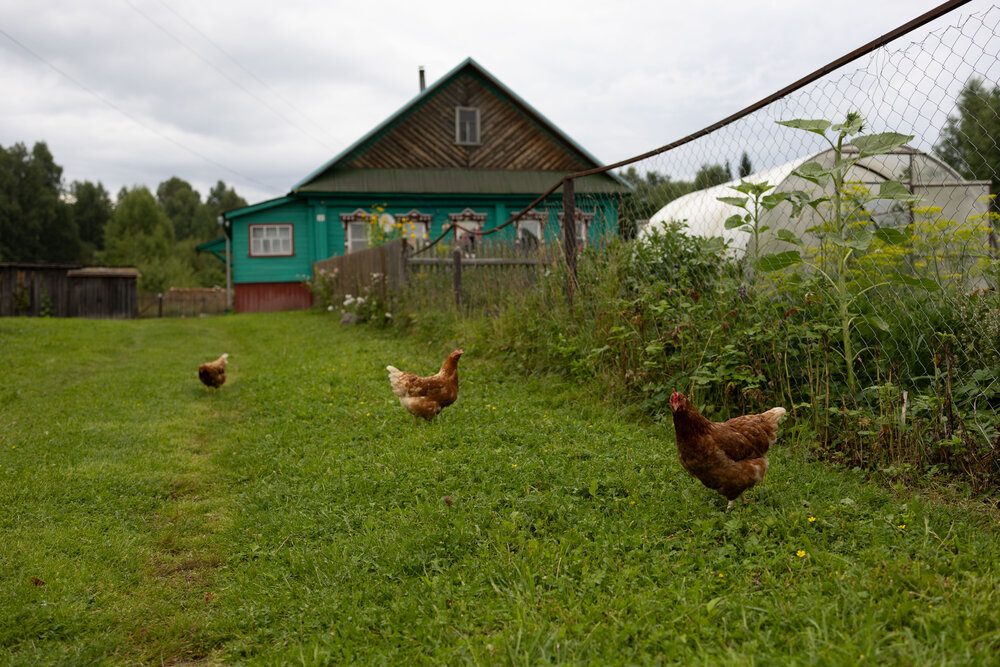 Photograph by Наталья Латыпова