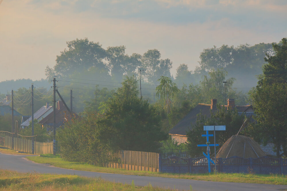 Photograph by Николай Протасеня
