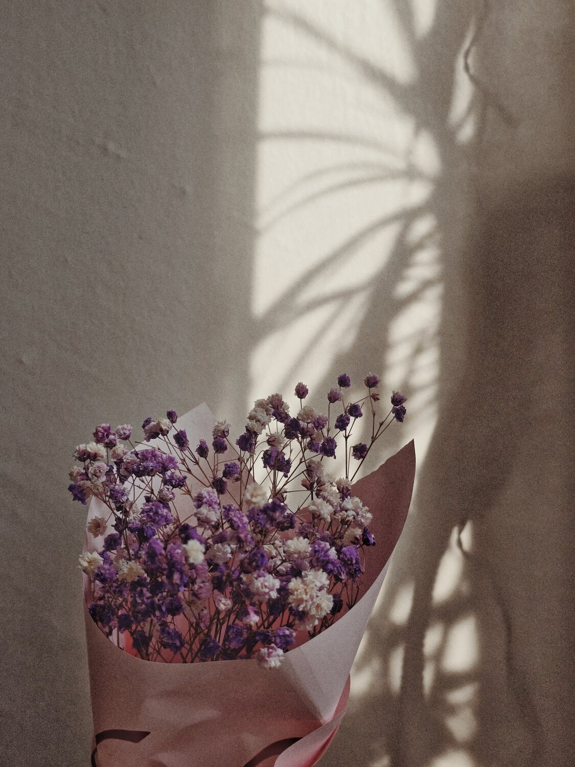 Photo #13906346