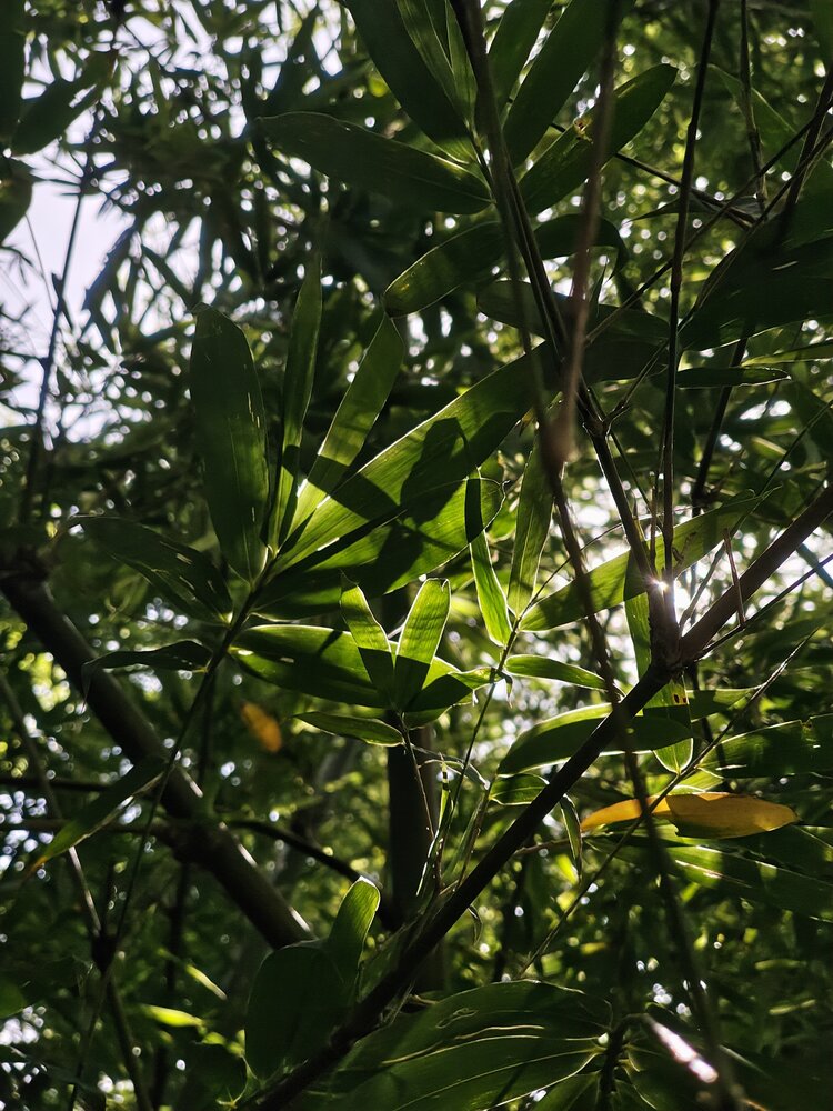 Nature\'s beauty