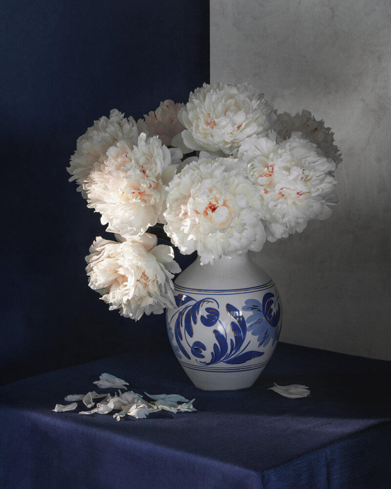 Photograph by Елена Овчинникова